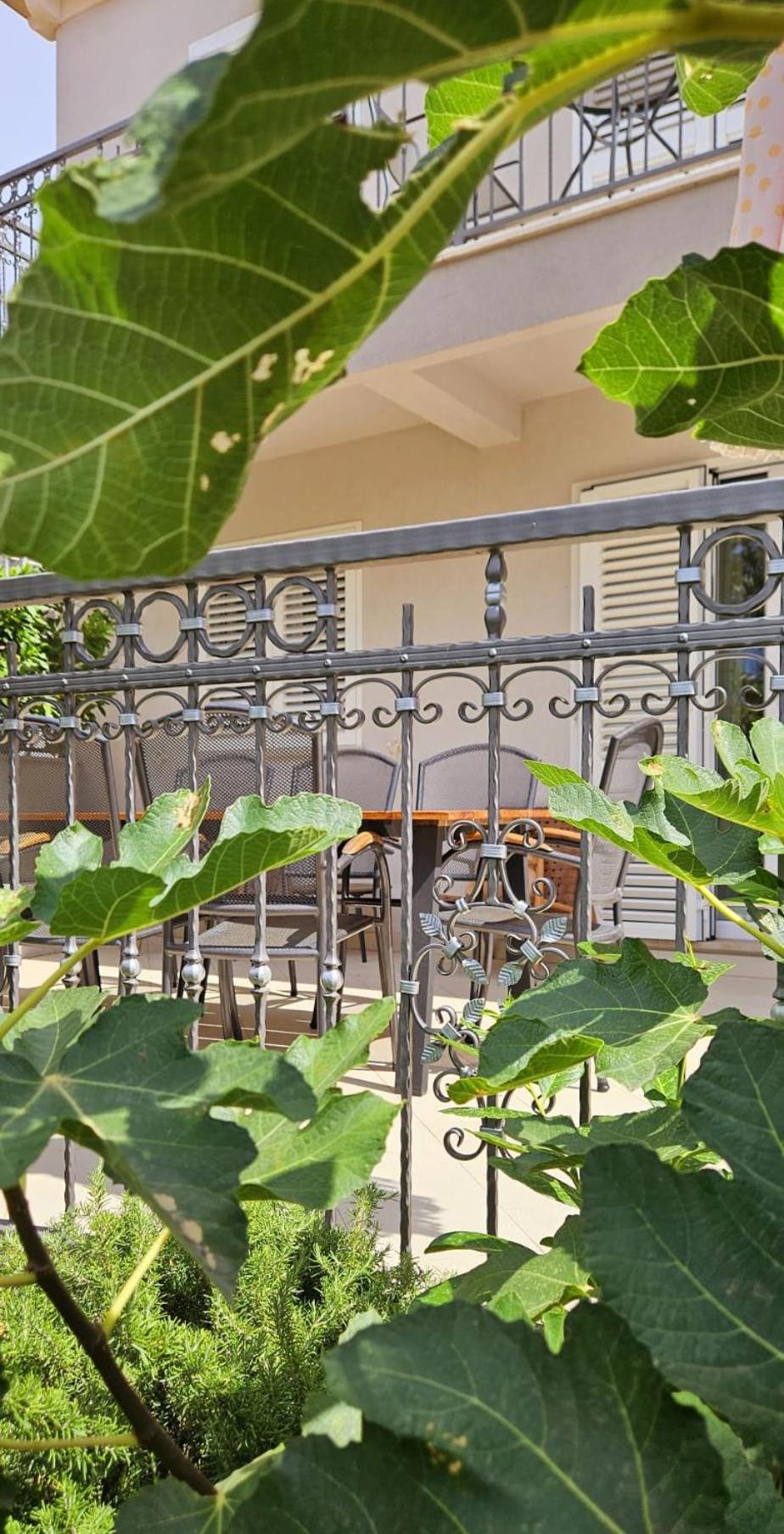 Villa Pepo Cavtat Eksteriør billede